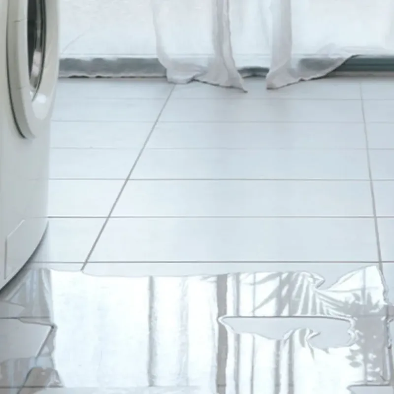 Appliance Leak Cleanup in Rosendale, WI