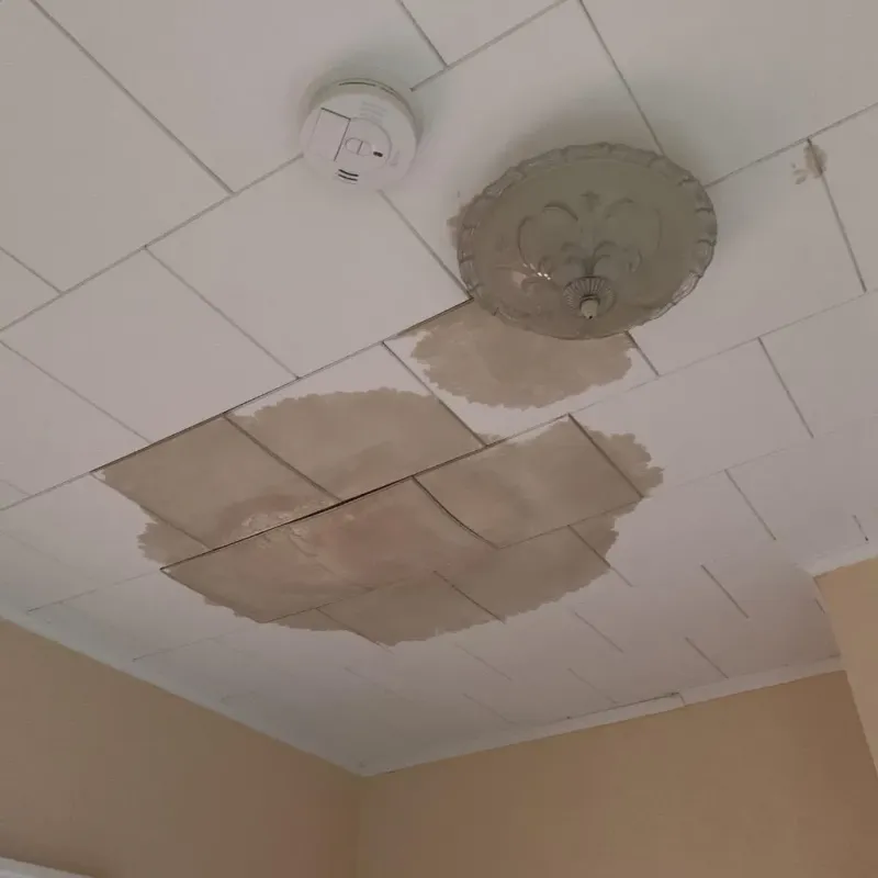 Ceiling Water Damage Repair in Rosendale, WI