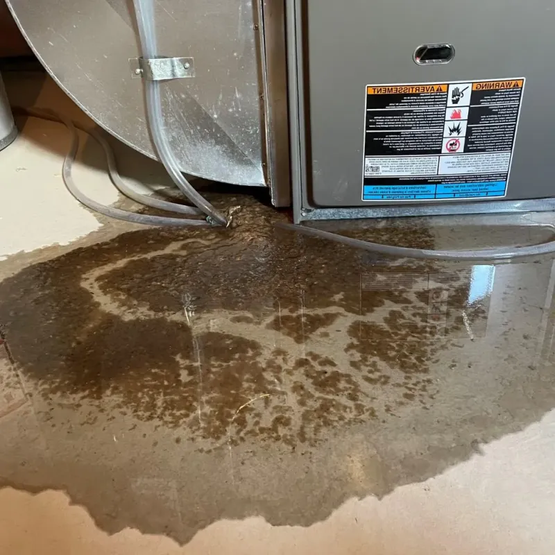 Pipe Burst and Leak Restoration in Rosendale, WI